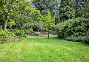 Optimiser l'expérience du jardin à Bosset